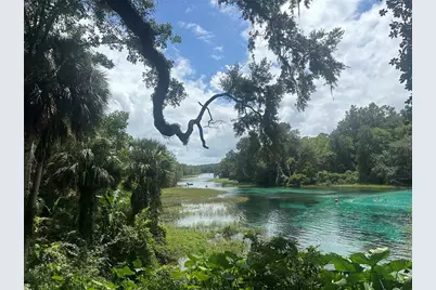 449 450 & E1/2 Lot 451 SW Shorewood Drive, Dunnellon, FL 34431 - Photo 19