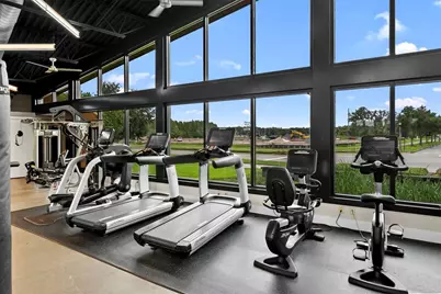 14948 Renaissance Avenue, Odessa, FL 33556 - Photo 67