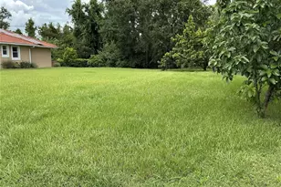 21049 Los Cabos Ct, Land O Lakes, FL 34637 - Photo 1