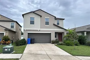 808 Nutmeg Spice Pl, Ruskin, FL 33570 - Photo 3