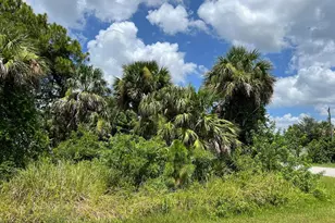 Waterloo Terrace, North Port, FL 34286 - Photo 1