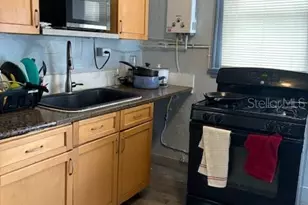 1905 N Taliaferro Ave, Tampa, FL 33602 - Photo 43