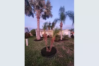 2228 Society Drive, Holiday, FL 34691 - Photo 3