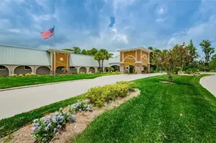 11805 Loblolly Pine Dr, New Port Richey, FL 34654 - Photo 95