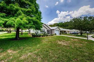 11805 Loblolly Pine Dr, New Port Richey, FL 34654 - Photo 3