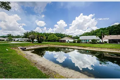 11805 Loblolly Pine Drive, New Port Richey, FL 34654 - Photo 41