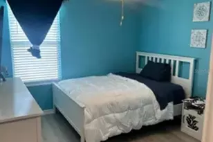 9317 Lemon Drop Loop, Ruskin, FL 33573 - Photo 13