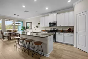 17349 Cruiser Bnd, Land O Lakes, FL 34638 - Photo 13