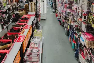 1326 Dr Martin Luther King Jr Street S, Saint Petersburg, FL 33701 - Photo 19