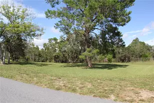 13127 Star Rd, Brooksville, FL 34613 - Photo 37