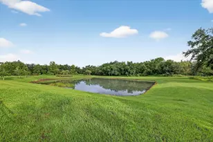 13008 Paddock Wood Pl, Riverview, FL 33579 - Photo 47