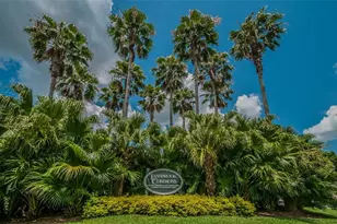 4125 Kirkaldy Dr, Palm Harbor, FL 34685 - Photo 49