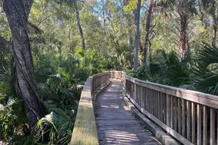 4824 Woodmere Rd, Land O Lakes, FL 34639 - Photo 49