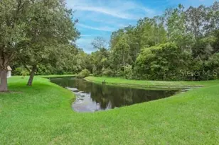 11506 Dampier Ct, New Port Richey, FL 34654 - Photo 5