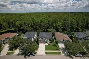 13234 Royal George Ave, Odessa, FL 33556 - Photo 7