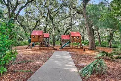 14310 Barrington Stowers Drive, Lithia, FL 33547 - Photo 47