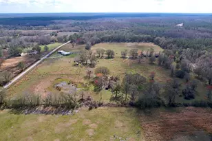 14890 Cr 757, Webster, FL 33597 - Photo 19