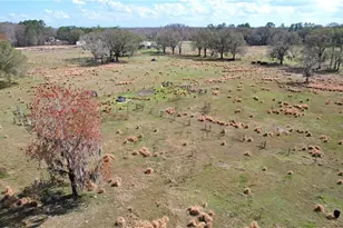 14890 Cr 757, Webster, FL 33597 - Photo 11