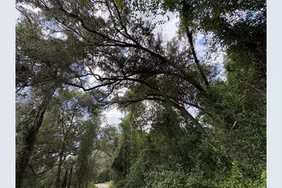 Lucilles Shady Lane, Nobleton, FL 34661 - Photo 29