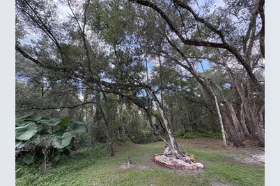 Lucilles Shady Lane, Nobleton, FL 34661 - Photo 11