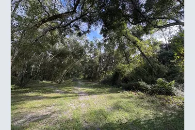 Lucilles Shady Lane, Nobleton, FL 34661 - Photo 13
