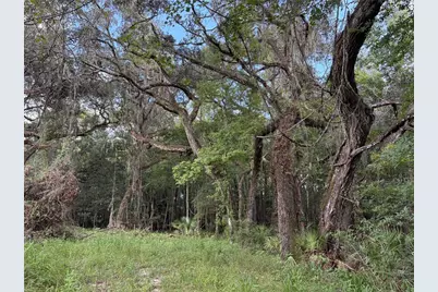 Lucilles Shady Lane, Nobleton, FL 34661 - Photo 41