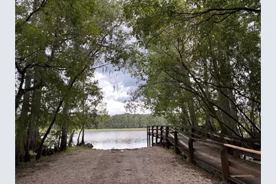 Lucilles Shady Lane, Nobleton, FL 34661 - Photo 57