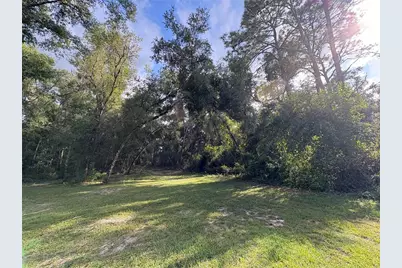 Lucilles Shady Lane, Nobleton, FL 34661 - Photo 5