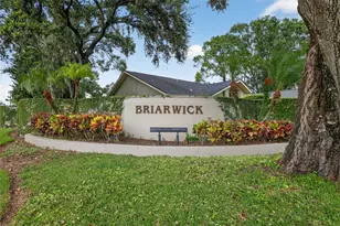 3956 Belmoor Dr, Palm Harbor, FL 34685 - Photo 65