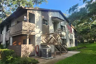 603 Baldwin Ave, Safety Harbor, FL 34695 - Photo 1