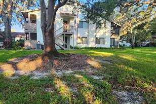 603 Baldwin Ave, Safety Harbor, FL 34695 - Photo 5