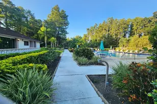 603 Baldwin Ave, Safety Harbor, FL 34695 - Photo 11