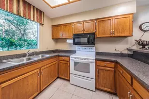 902 Lennox Rd W, Palm Harbor, FL 34683 - Photo 51