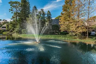 902 Lennox Rd W, Palm Harbor, FL 34683 - Photo 41