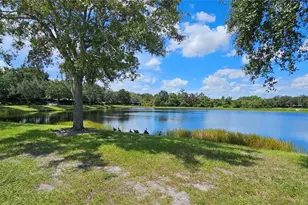 12425 Fairlawn Dr, Riverview, FL 33579 - Photo 39