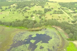 18301 S Obrien Rd, Groveland, FL 34736 - Photo 35