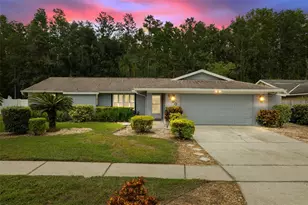 5330 Black Pine Dr, Tampa, FL 33624 - Photo 1
