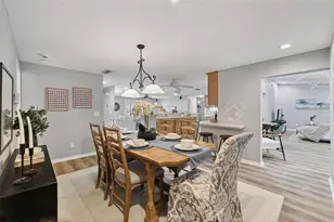 5330 Black Pine Dr, Tampa, FL 33624 - Photo 15