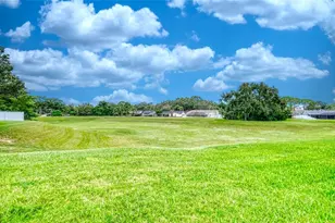 1775 Barn Owl Way, Palm Harbor, FL 34683 - Photo 37