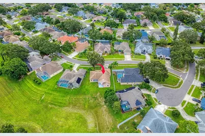 1775 Barn Owl Way, Palm Harbor, FL 34683 - Photo 45