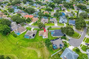 1775 Barn Owl Way, Palm Harbor, FL 34683 - Photo 45