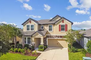 6501 Dutton Dr, Wesley Chapel, FL 33545 - Photo 63