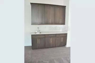 2471 Coco Palm Circle, Wesley Chapel, FL 33543 - Photo 19