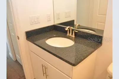 2471 Coco Palm Circle, Wesley Chapel, FL 33543 - Photo 27