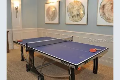 2471 Coco Palm Circle, Wesley Chapel, FL 33543 - Photo 47