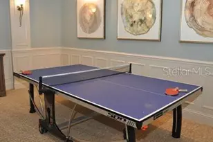 2471 Coco Palm Cir, Wesley Chapel, FL 33543 - Photo 47