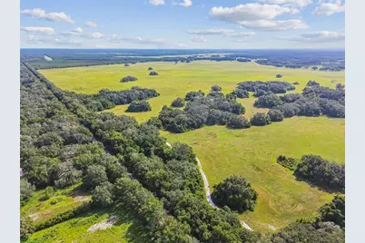 16350 US Highway 41, Spring Hill, FL 34610 - Photo 21