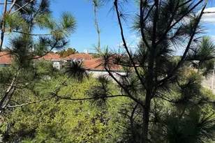 1216 S Missouri Ave, Clearwater, FL 33756 - Photo 29