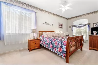 30101 Emmetts Court, Wesley Chapel, FL 33543 - Photo 21