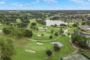 12957 Royal George Ave, Odessa, FL 33556 - Photo 31